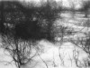 winter_path_to_the_river_2017_elaine_green