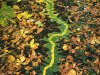 Andy Goldsworthy