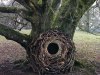 Andy Goldsworthy