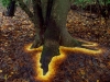 Andy Goldsworthy